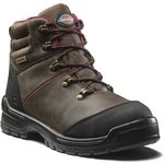 DFC9535 Cameron Safety Shoes Thumbnail Image