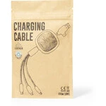 AT1981 Rabs Charging Cable Thumbnail Image